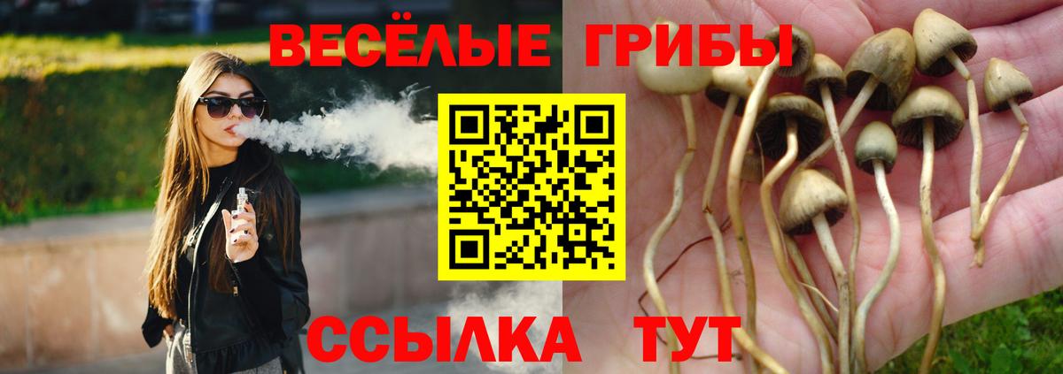 Галлюциногенные грибы Psilocybe  Вход с VPN  Рязань  Псилоцибиновые грибы Psilocybe 